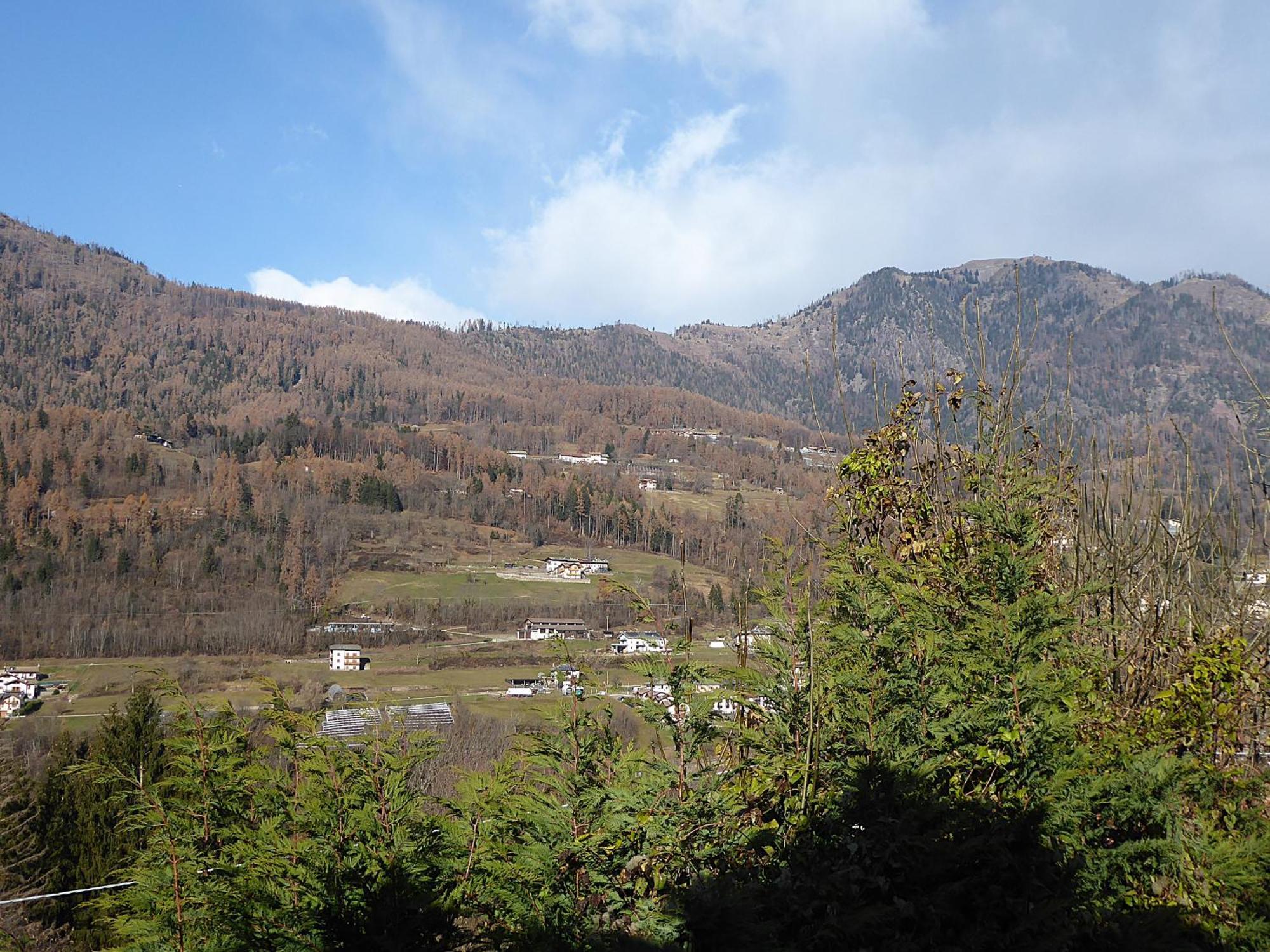 Chalet Incanto Terrace Val Dei Mocheni, Wifi Trentino 프라실론고 외부 사진