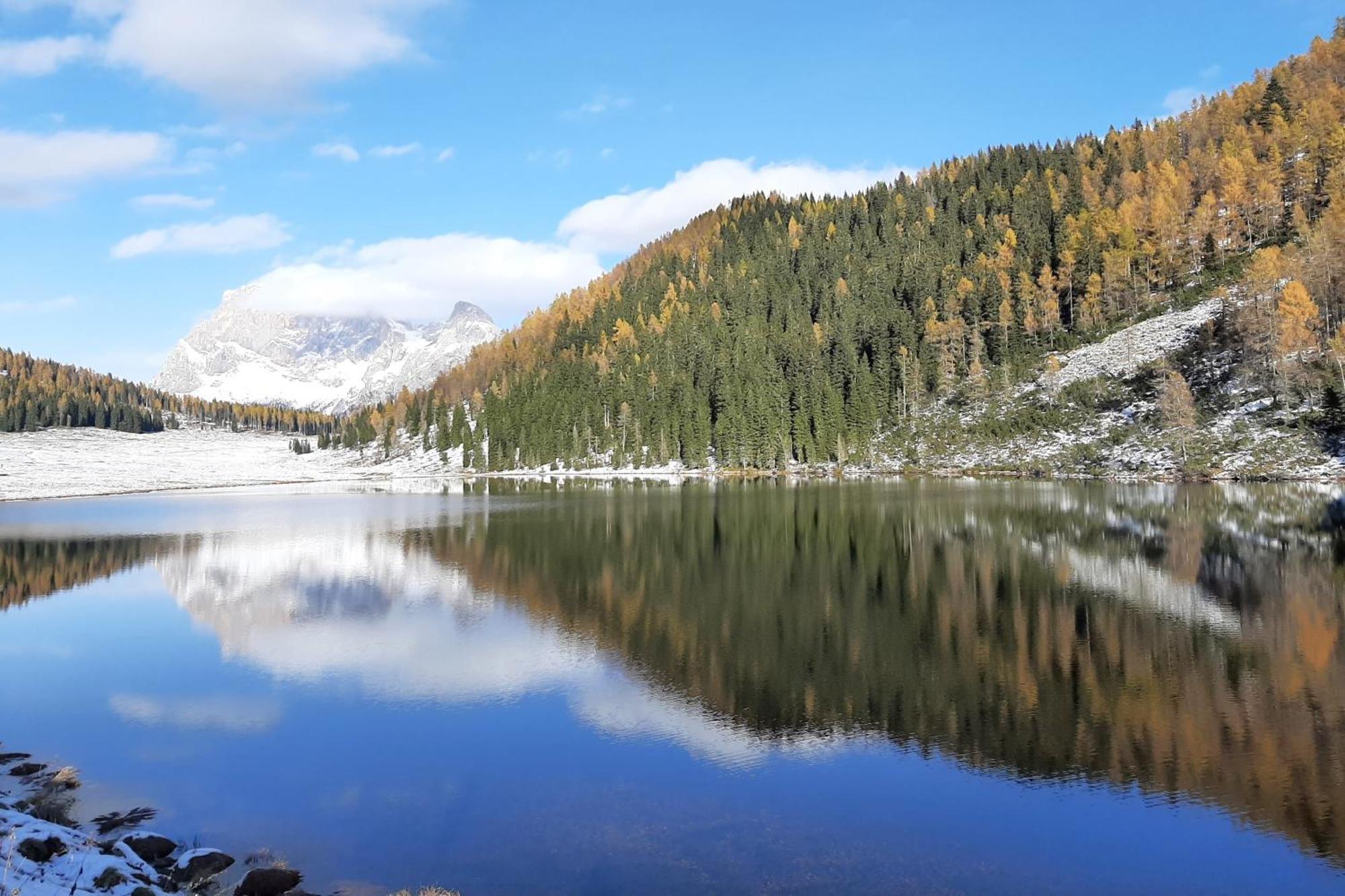 Chalet Incanto Terrace Val Dei Mocheni, Wifi Trentino 프라실론고 외부 사진