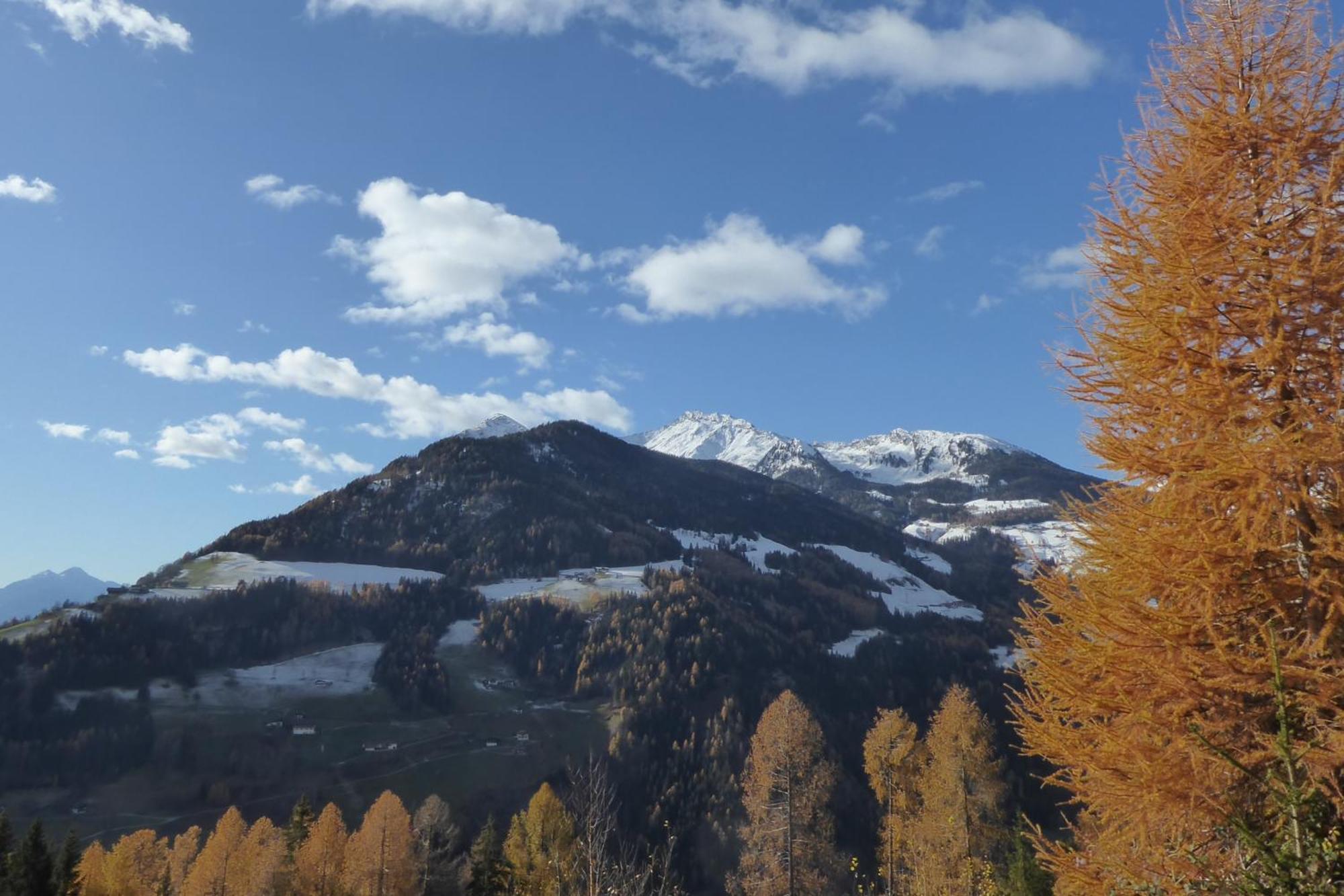 Chalet Incanto Terrace Val Dei Mocheni, Wifi Trentino 프라실론고 외부 사진